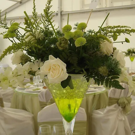 Szálloda Garden Club Brassó