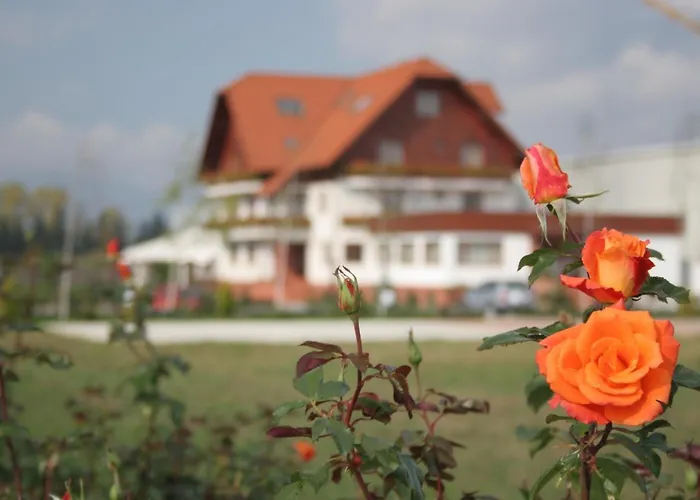 Garden Club Hotel Brasov